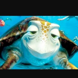 Meet your Posher, Camron